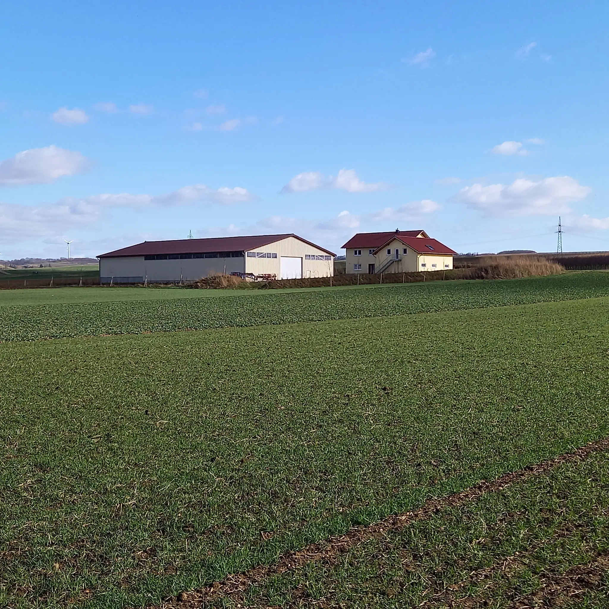 Das Ölhaus in Wallertheim